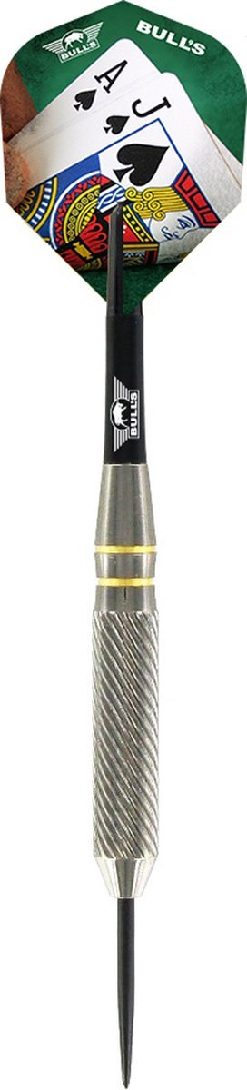 Bull’s Domus Professionele Dartset – Complete set - Dartbord - Verlichting - Surround